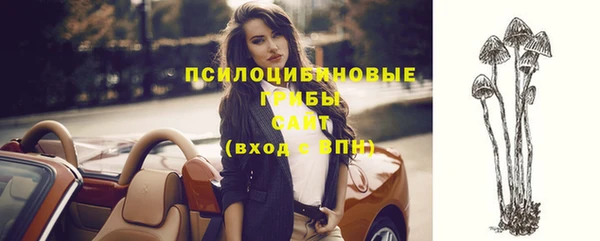мяу мяу мука Бугульма