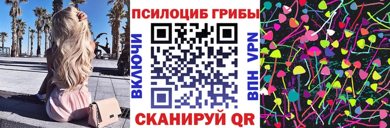 Галлюциногенные грибы Psilocybine cubensis  Тольятти 